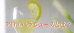 アロエベラジュースとは?
