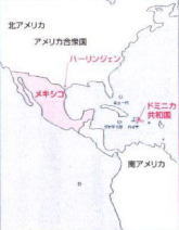 アロエベラ畑