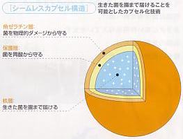 アクティブプロバイオテック シームレスカプセル